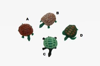 Obrázek z Želva jako živá MINI 4cm (120) 